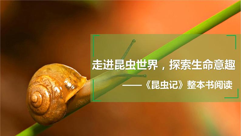 第五单元名著导读《昆虫记》课件第2页