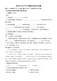 2024年广东省茂名市高州市中考一模语文试题（原卷版+解析版）