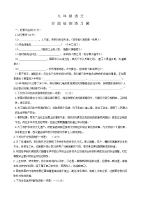 山东省烟台市芝罘区2023-2024学年(五四学制)九年级下学期期中语文试题