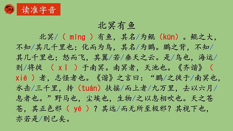 部编版语文八年级下册《北冥有鱼》优课课件第7页