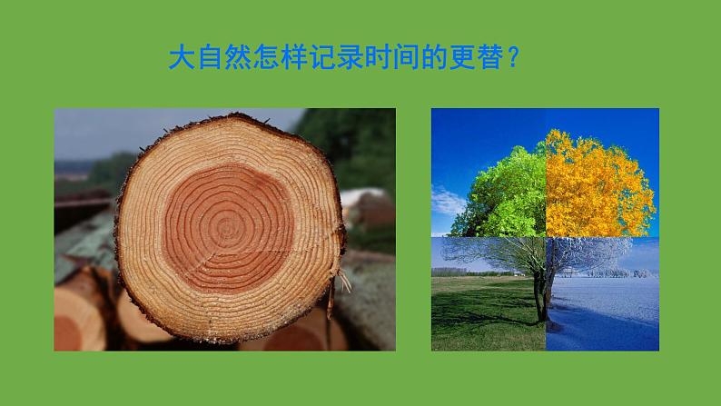 部编版语文八年级下册《时间的脚印》公开课教学课件第1页