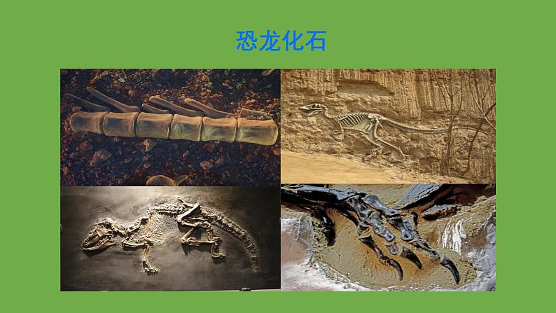 部编版语文八年级下册《时间的脚印》公开课教学课件第2页