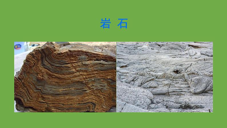 部编版语文八年级下册《时间的脚印》公开课教学课件第3页