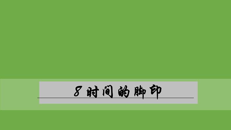 部编版语文八年级下册《时间的脚印》公开课教学课件第4页