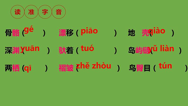 部编版语文八年级下册《恐龙无处不在》公开课教学课件第6页