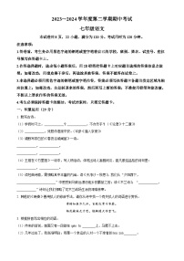 广东省茂名市电白区2023-2024学年七年级下学期期中语文试题（原卷版+解析版）