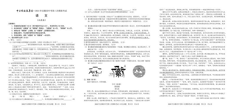 2024年安徽省十五校教育集团中考第三次模拟考试语文试题01