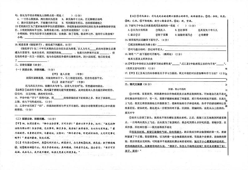 甘肃省武威市凉州区武威第二十五中学2023-2024学年七年级下学期5月期中语文试题第2页