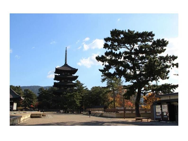 八下语文第六单元《题破山寺后禅院》同步课件第7页