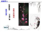 八下語文第六單元《課外古詩詞之詠梅》同步課件