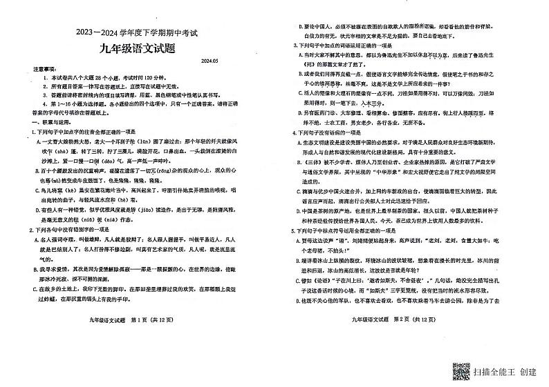 山东省泰安市肥城市2023-2024学年（五四学制）九年级下学期期中考试语文试题01