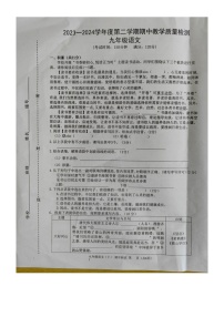 广西壮族自治区北海市合浦县2023-2024学年九年级下学期5月期中语文试题