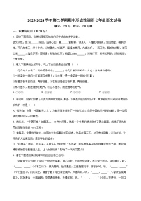 河南省洛阳市洛龙区2023-2024学年七年级下学期期中语文试题（原卷版+解析版）