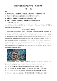 2024年北京市大兴区中考一模语文试题（原卷版+解析版）