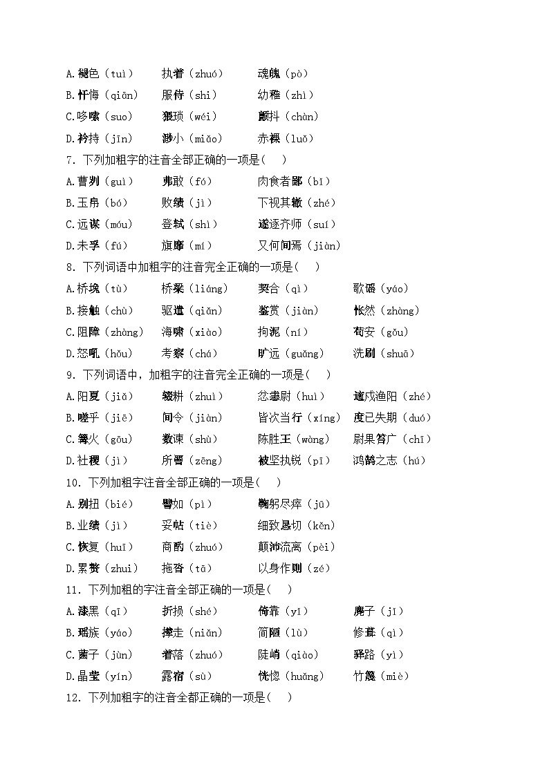 1.字音——2024届中考语文基础知识专项培优卷(含答案)第2页