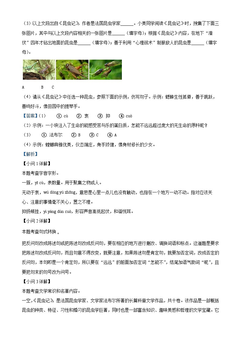 2024年安徽省淮北市淮北五校联考中考二模语文试题（原卷版+解析版）02