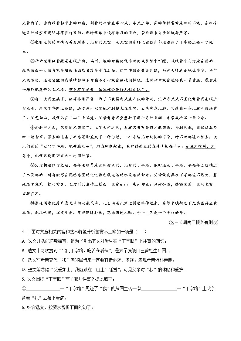 安徽省安庆市外国语学校2023-2024学年八年级下学期期中语文试题（原卷版+解析版）03