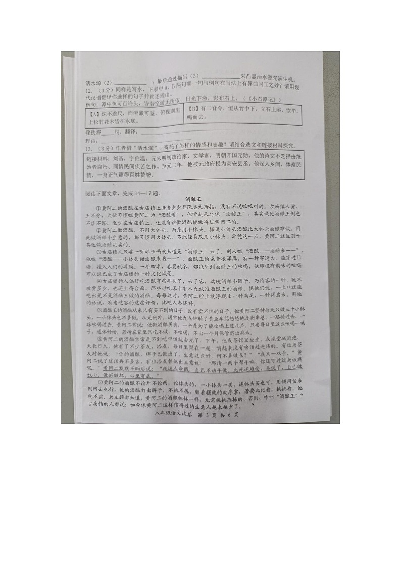 湖北省黄石市黄石港区黄石八中教联体2023-2024学年八年级下学期5月期中语文试题02