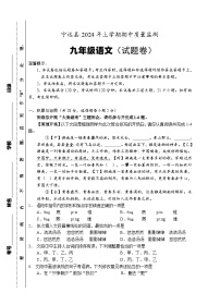 湖南省永州市宁远县2023-2024学年九年级下学期期中考试语文试题