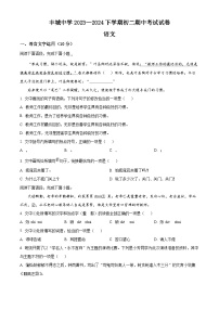 江西省丰城中学2023-2024学年八年级下学期期中语文试题（原卷版+解析版）