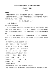 山东省潍坊市潍城区2023-2024学年七年级下学期期中语文试题（原卷版+解析版）