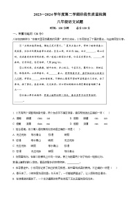山东省鄄城县22023-2024学年八年级下学期期中语文试题（原卷版+解析版）