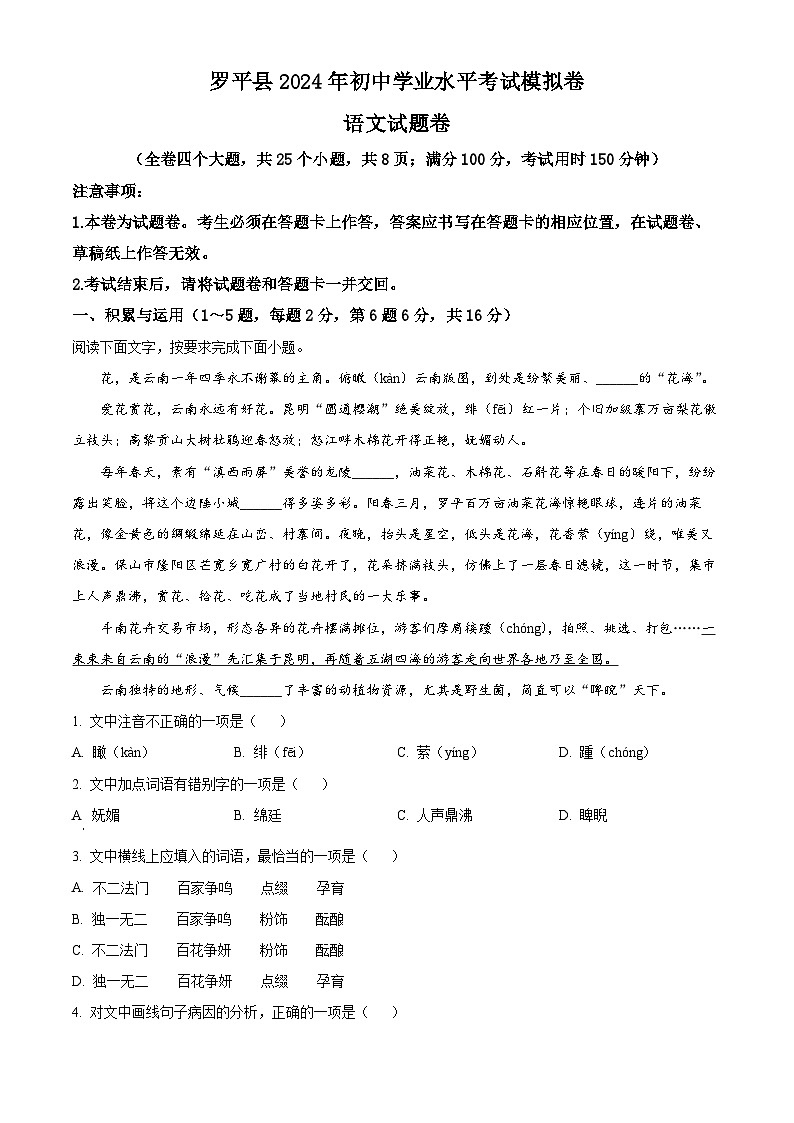 2024年云南省曲靖市罗平县中考模拟语文试题（原卷版+解析版）01