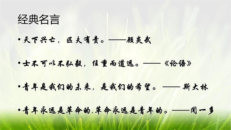 中考语文作文素材积累：青年榜样  课件第4页