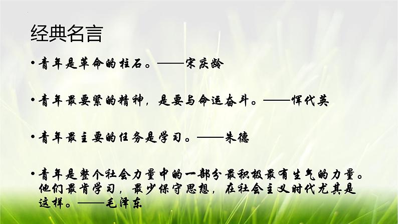 中考语文作文素材积累：青年榜样  课件第5页