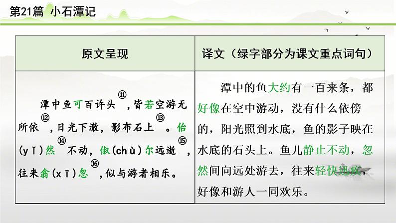 中考语文备考文言文梳理与迁移训练《小石潭记》课件PPT04