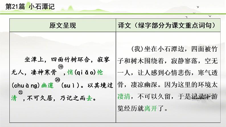 中考语文备考文言文梳理与迁移训练《小石潭记》课件PPT06