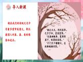 2023-2024学年部编版语文七年级下册 19《一棵小桃树》课件