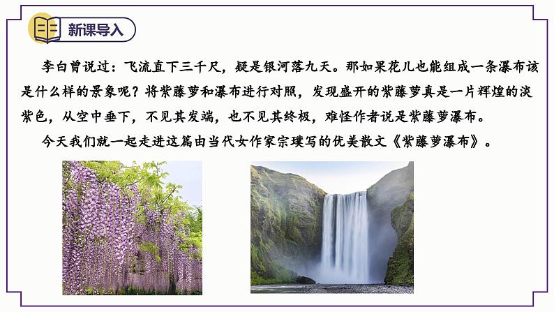 2023-2024学年部编版语文七年级下册 18《 紫藤萝瀑布》 课件02