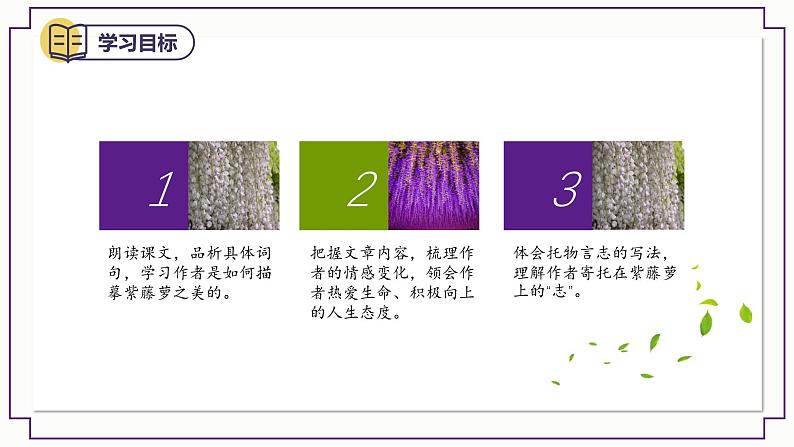 2023-2024学年部编版语文七年级下册 18《 紫藤萝瀑布》 课件03