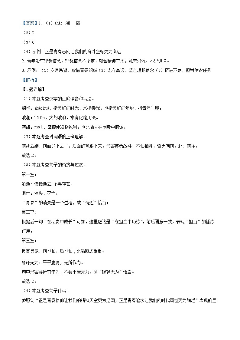 江苏省连云港市新海实验中学2023-2024学年九年级下学期期中语文试题（解析版）第2页