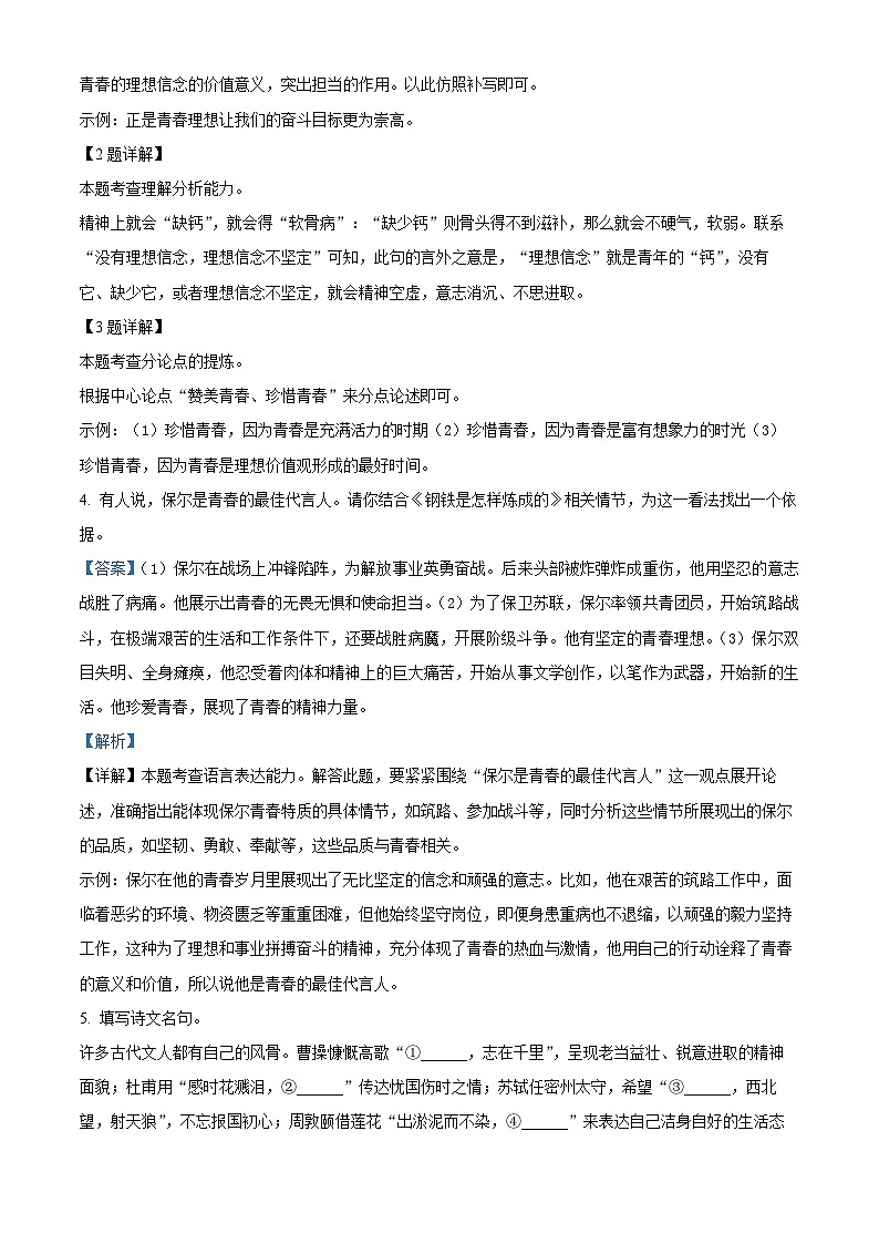 江苏省连云港市新海实验中学2023-2024学年九年级下学期期中语文试题（解析版）第3页