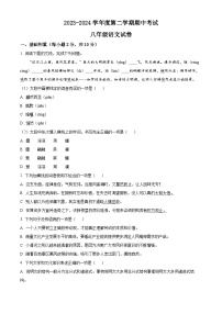山东省济宁市太白湖新区2023-2024学年八年级下学期期中语文试题（原卷版+解析版）