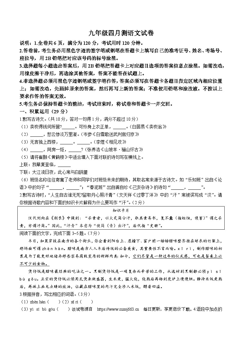 2024年广东省茂名市滨海新区中考二模语文试题01