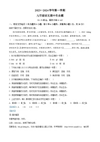 江西省鹰潭市余江区2023-2024学年九年级上学期期中语文试题