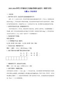 专题01 字音字形-2023-2024学年八年级语文下册备考期末总复习