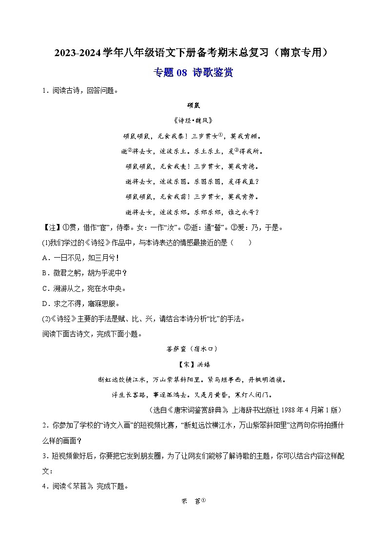 专题08 诗歌鉴赏-2023-2024学年八年级语文下册备考期末总复习第1页
