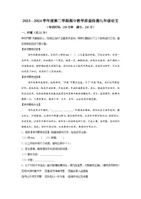 广西壮族自治区北海市合浦县2023-2024学年九年级下学期期中语文试题（含解析）