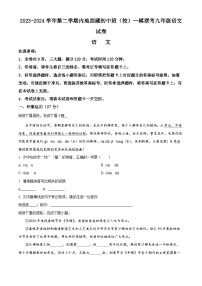 湖北省内地西藏班（校）2023-2024学年九年级下学期期中语文试题（原卷版+解析版）