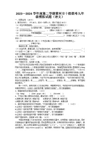 广东省湛江市雷州市雷州市十校联考2023-2024学年九年级下学期4月期中语文试题