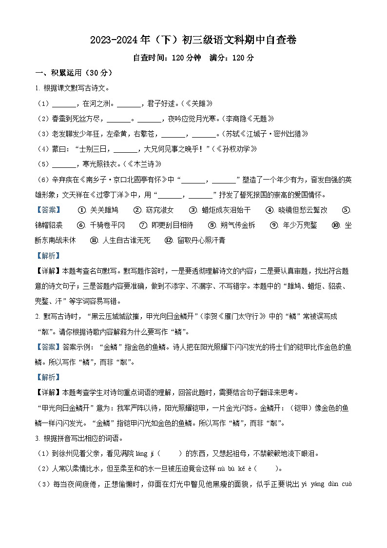 2024年广东省省东莞市长安实验中学中考二模语文试题（原卷版+解析版）01