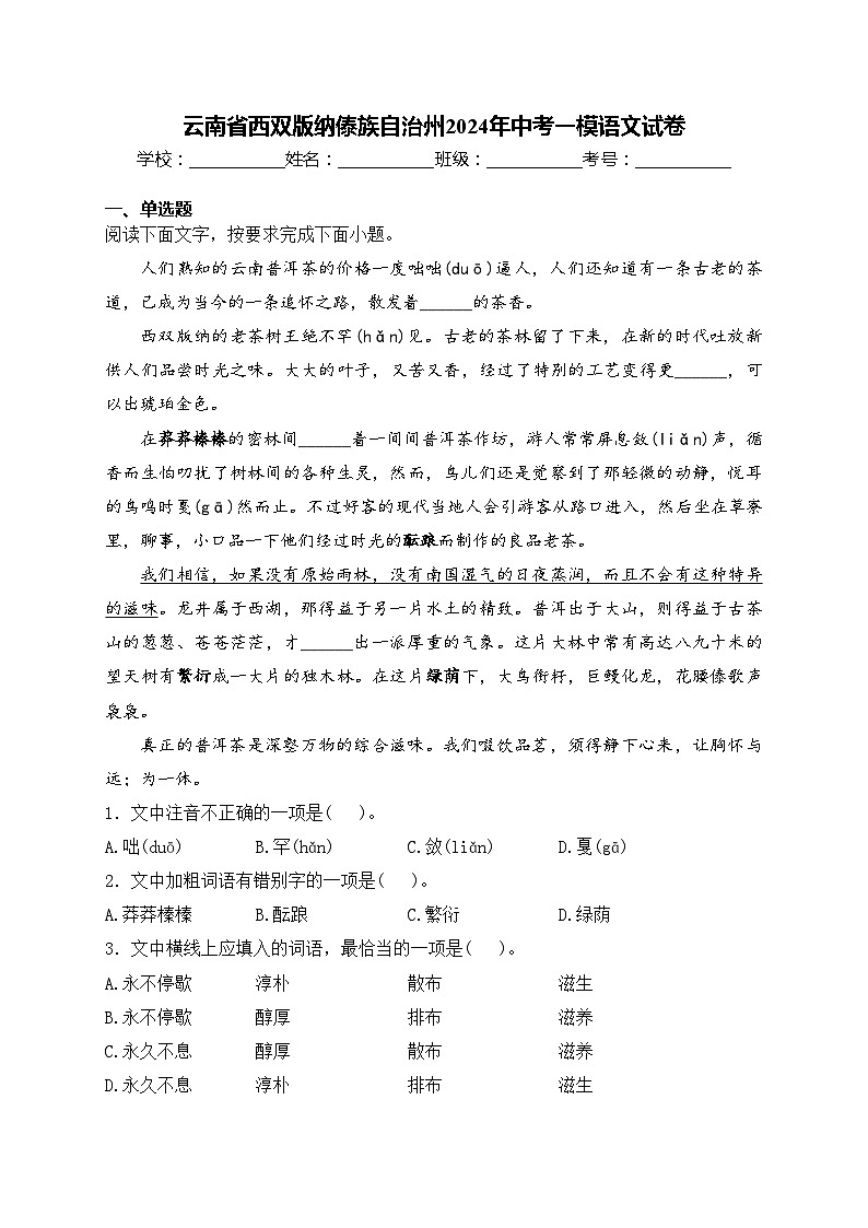 云南省西双版纳傣族自治州2024年中考一模语文试卷(含答案)01