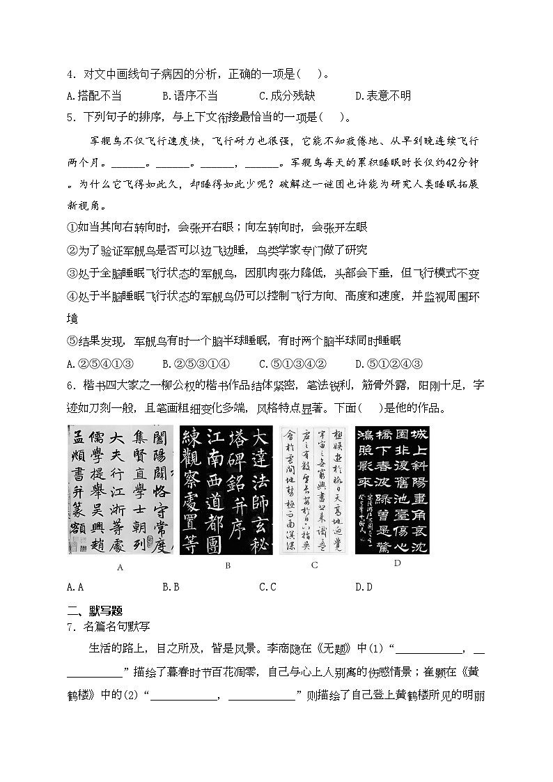 云南省西双版纳傣族自治州2024年中考一模语文试卷(含答案)02