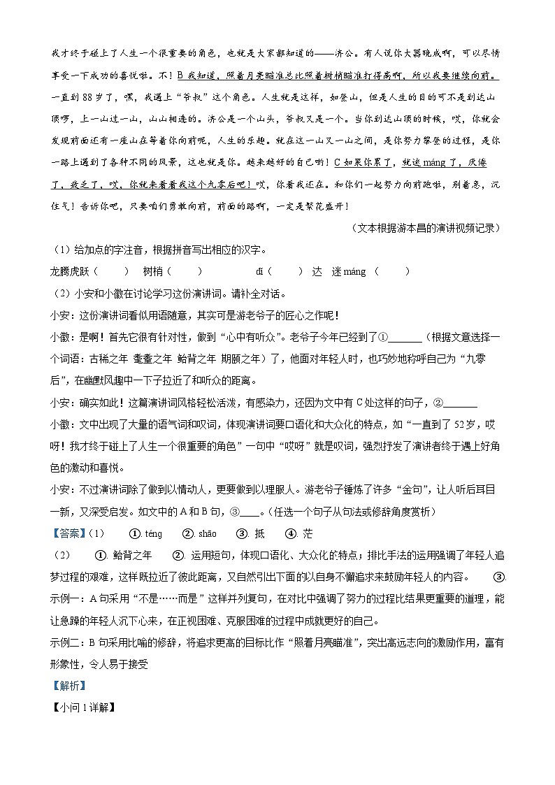 2024年安徽省安庆市中考二模语文试题（原卷版+解析版）02