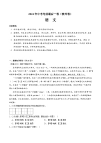 2024年中考考前最后一套押题卷：语文（泰州卷）（考试版A4）