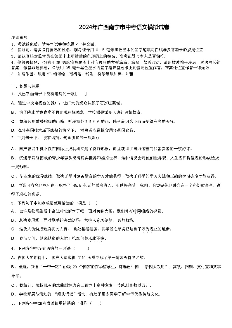2024年广西南宁市中考语文模拟试卷（解析版）第1页